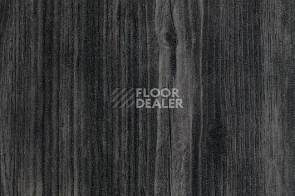 Виниловая плитка ПВХ FORBO Effekta Standard 3013P Black Pine ST фото 1 | FLOORDEALER
